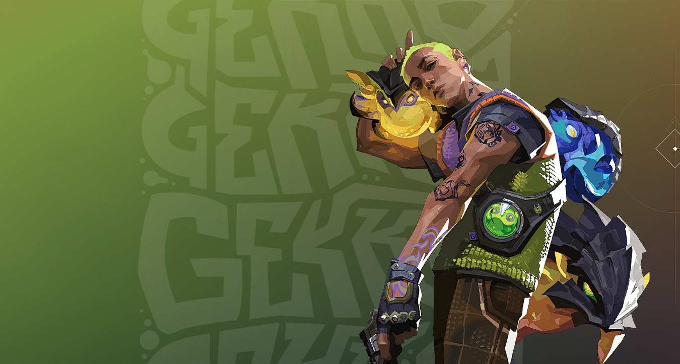 Gekko Collection - HozNext