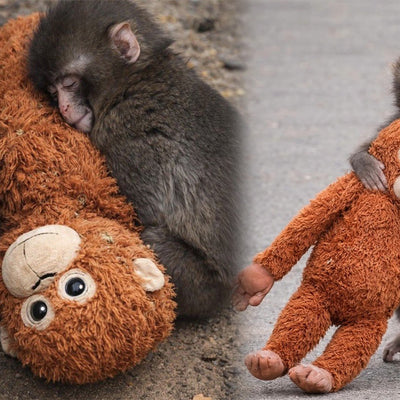Brown plush monkey with white belly and smiling face, lying on concrete