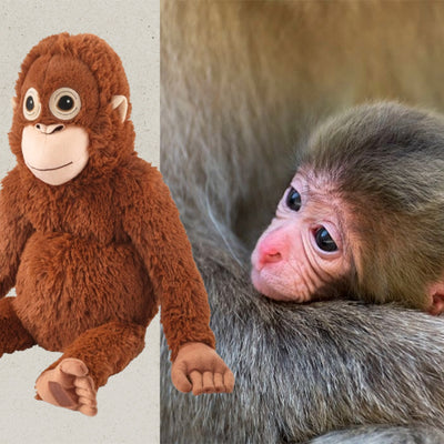 Brown plush monkey toy with big round eyes and felt face