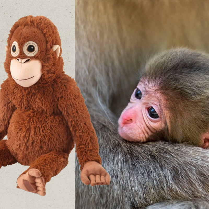 Punch Monkey Plushie - Baby Monkey Punch Warm Hugs Toy