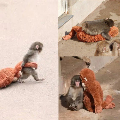 Brown plush monkey lying on floor with soft shaggy fur and curved arms